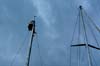 w010jan_mast