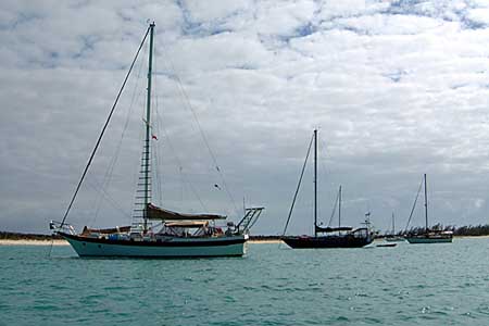001e_shibumi_norman_cay