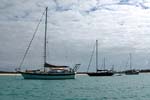 001e_shibumi_norman_cay